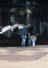 Σοβαρός τραυματισμός από έκρηξη σε πυρηνελαιουργείο